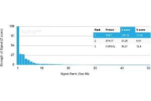 Analysis of Protein Array containing more than 19,000 full-length human proteins using TIGIT-Monospecific Mouse Monoclonal Antibody (TIGIT/3106).