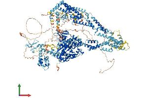 AlphaFold protein structure predicition of Mouse Recombinant Kdm5c Protein, UniprotID P41230