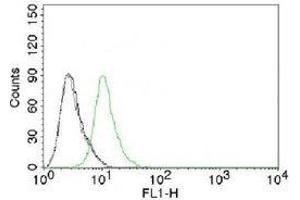 FACS testing of Jurkat cells and Alexa Fluor 488-labeled p27Kip1 antibody.