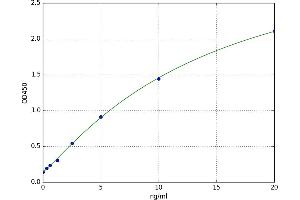 Dynamin 2 (DNM2) ELISA Kit