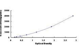 SMAD, Mothers Against DPP Homolog 2 (SMAD2) ELISA Kit