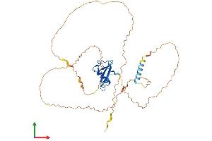 AlphaFold protein structure predicition of Mouse Recombinant Ggnbp1 Protein, UniprotID Q6K1E7