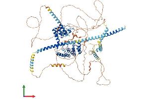 AlphaFold protein structure predicition of Mouse Recombinant Ppp1r12b Protein, UniprotID Q8BG95