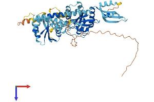 AlphaFold protein structure predicition of Mouse Recombinant Gtpbp6 Protein, UniprotID Q3U6U5