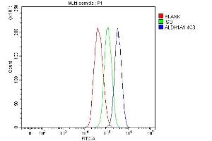Flow Cytometry analysis of HepG2 cells using anti-ALDH1A1 antibody (ABIN7602128). (ALDH1A1 anticorps  (AA 6-342))