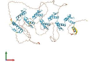 AlphaFold protein structure predicition of Human Recombinant ZFP28 Protein, UniprotID Q8NHY6