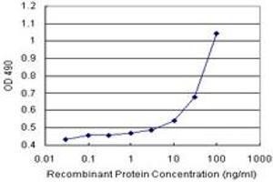 Sandwich ELISA detection sensitivity ranging from 10 ng/mL to 100 ng/mL. (COMT (Humain) Matched Antibody Pair)