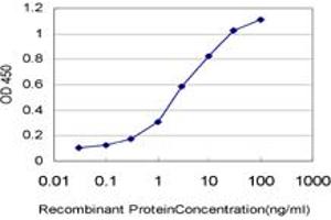 anti-Armadillo Repeat Containing, X-Linked 3 (ARMCX3) (AA 278-379) antibody