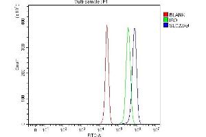 Flow Cytometry analysis of HepG2 cells using anti-SLC22A9 antibody (ABIN7603093).