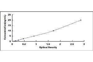 Typical standard curve (OXCT1 Kit ELISA)