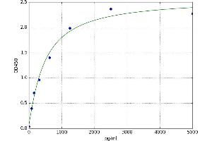 Cdc2-Related Kinase, Arginine/serine-Rich (CRKRS) ELISA Kit