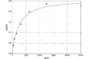 A typical standard curve (CDK12 Kit ELISA)