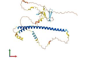 AlphaFold protein structure predicition of Mouse Recombinant Mcidas Protein, UniprotID Q3UZ45