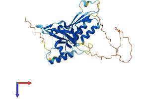 AlphaFold protein structure predicition of Human Recombinant MEDAG Protein, UniprotID Q5VYS4
