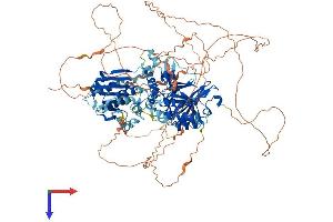 AlphaFold protein structure predicition of Human Recombinant MAP1S Protein, UniprotID Q66K74