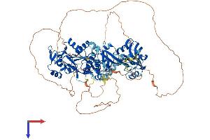 AlphaFold protein structure predicition of Human Recombinant DLG2 Protein, UniprotID Q15700
