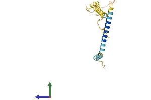 AlphaFold protein structure predicition of Human Recombinant EVA1A Protein, UniprotID Q9H8M9