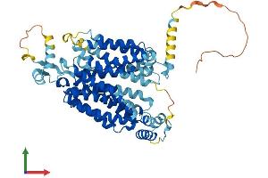 AlphaFold protein structure predicition of Mouse Recombinant Slc22a15 Protein, UniprotID Q504N2 (SLC22A15 Protein (AA 1-544) (His tag))