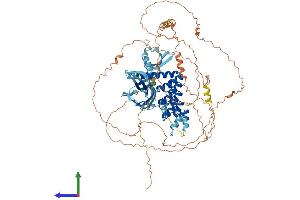 AlphaFold protein structure predicition of Mouse Recombinant Mphosph8 Protein, UniprotID Q3TYA6
