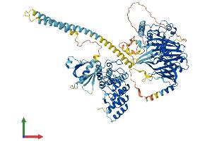 AlphaFold protein structure predicition of Human Recombinant OSBPL1A Protein, UniprotID Q9BXW6