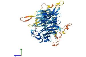 AlphaFold protein structure predicition of Mouse Recombinant Fbxo24 Protein, UniprotID Q9D417