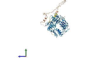 AlphaFold protein structure predicition of Human Recombinant ZNF331 Protein, UniprotID Q9NQX6