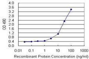 Sandwich ELISA detection sensitivity ranging from 3 ng/mL to 100 ng/mL. (TP53RK (Humain) Matched Antibody Pair)