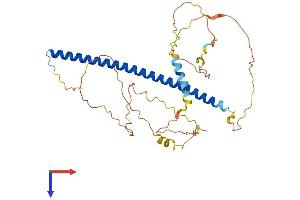 AlphaFold protein structure predicition of Human Recombinant JUNB Protein, UniprotID P17275