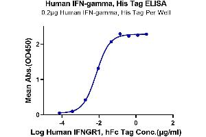 Immobilized Human IFN-gamma at 2 μg/mL (100 μL/Well) on the plate.