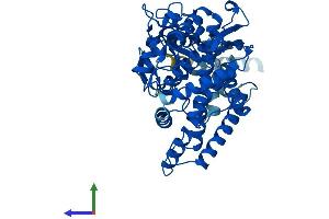 AlphaFold protein structure predicition of Human Recombinant CYP2C18 Protein, UniprotID P33260