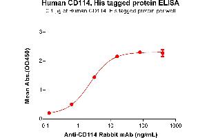 ELISA plate pre-coated by 1 μg/mL (100 μL/well) Human CD114 protein, His Tag (ABIN6961136, ABIN7042301 and ABIN7042302) can bind Anti-CD114 Rabbit mAb in a linear range of 0.