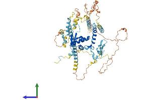 AlphaFold protein structure predicition of Human Recombinant NCAPH2 Protein, UniprotID Q6IBW4