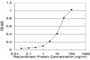Detection limit for recombinant GST tagged PRKAB1 is approximately 1ng/ml as a capture antibody.