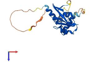 AlphaFold protein structure predicition of Mouse Recombinant Socs2 Protein, UniprotID O35717