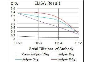 Black line: Control Antigen (100 ng), Purple line: Antigen(10 ng), Blue line: Antigen (50 ng), Red line: Antigen (100 ng),
