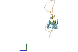 AlphaFold protein structure predicition of Mouse Recombinant Tmub1 Protein, UniprotID Q9JMG3