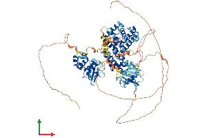 AlphaFold protein structure predicition of Human Recombinant RIN1 Protein, UniprotID Q13671