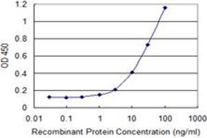 Detection limit for recombinant GST tagged POLR2J is 0.