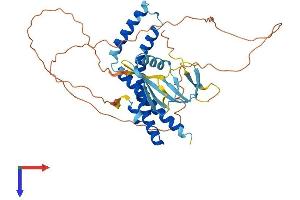 AlphaFold protein structure predicition of Mouse Recombinant Ell3 Protein, UniprotID Q80VR2