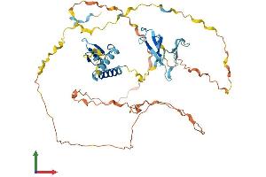 AlphaFold protein structure predicition of Mouse Recombinant Sf3a2 Protein, UniprotID Q62203