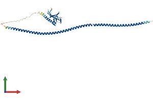 AlphaFold protein structure predicition of Human Recombinant HOMER2 Protein, UniprotID Q9NSB8