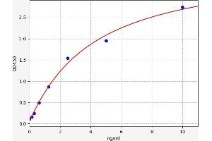 Typical standard curve