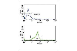 Flow cytometry analysis of K562 cells (bottom histogram) compared to a negative control cell (top histogram).