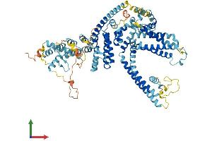 AlphaFold protein structure predicition of Human Recombinant TRPC1 Protein, UniprotID P48995