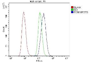 Flow Cytometry analysis of Raji cells using anti-Integrin beta 5/ITGB5 antibody (ABIN7601320).