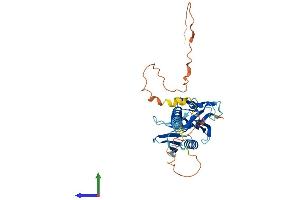 AlphaFold protein structure predicition of Mouse Recombinant Dok6 Protein, UniprotID Q2MHE5