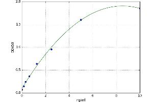 Glutathione Reductase (GSR) ELISA Kit