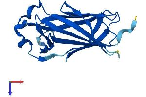 AlphaFold protein structure predicition of Human Recombinant CNRIP1 Protein, UniprotID Q96F85