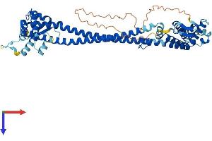 AlphaFold protein structure predicition of Human Recombinant CDK5RAP3 Protein, UniprotID Q96JB5