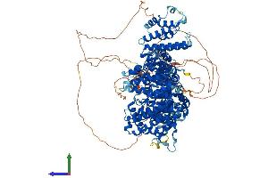 AlphaFold protein structure predicition of Mouse Recombinant Stag2 Protein, UniprotID O35638
